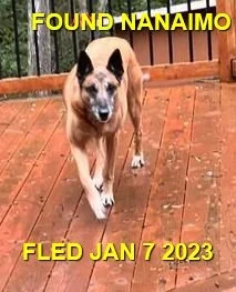 HAPPY ENDINGS - CEDAR BC. / JAN 7, 2023