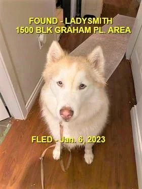 HAPPY ENDINGS - LADYSMITH BC. / JAN 6, 2023