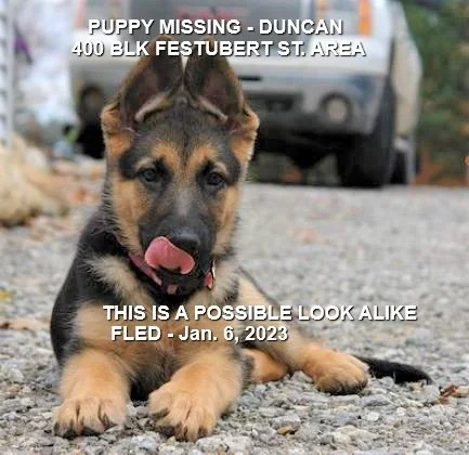 HAPPY ENDINGS - DUNCAN BC. / LUNA / JAN 6, 2023