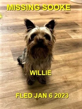 HAPPY ENDINGS - SOOKE BC. / WILLIE / JAN 6, 2023