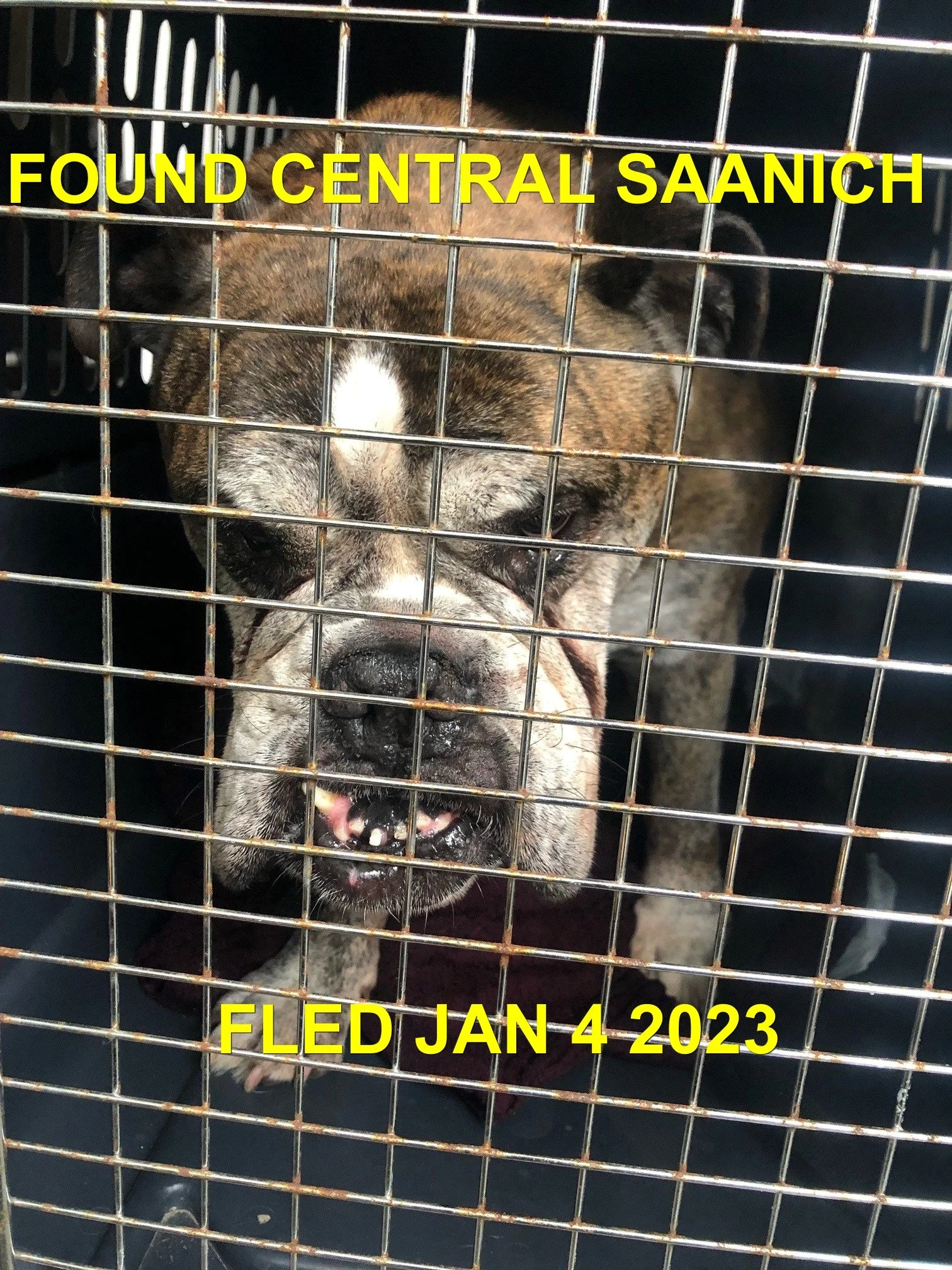 HAPPY ENDINGS - CENTRAL SAANICH BC. / JAN. 4, 2023