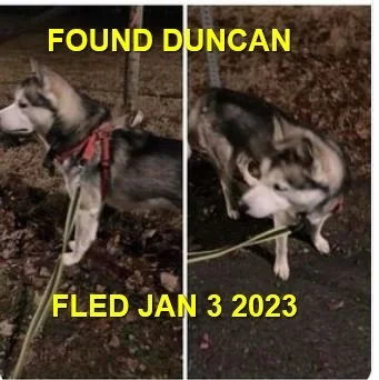 HAPPY ENDINGS - DUNCAN BC. / JAN. 3, 2023