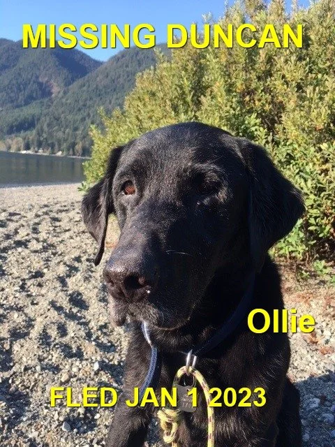 HAPPY ENDINGS - DUNCAN BC. / OLLIE / JAN 1, 2023