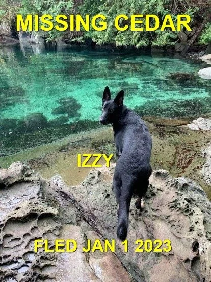 HAPPY ENDINGS - NANAIMO BC. (CEDAR)  / IZZY / JAN 1. 2023