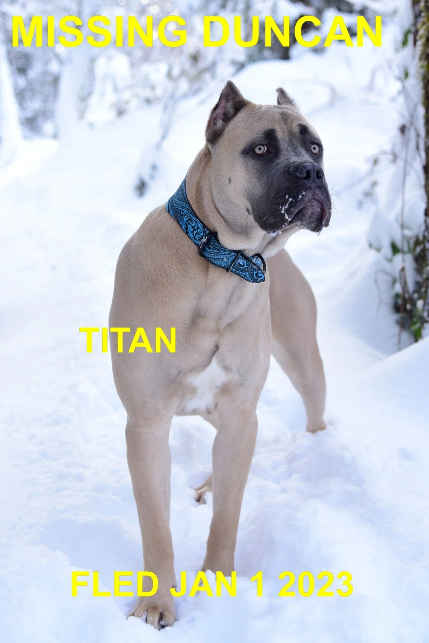 HAPPY ENDINGS - DUNCAN BC. / TITAN / DEC. 31, 2022