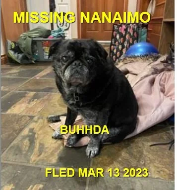 HAPPY ENDINGS - NANAIMO BC. / SENIOR BUHHDA / MAR. 13, 2023