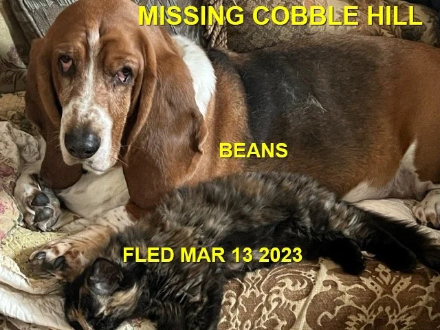 HAPPY ENDINGS - COBBLE HILL BC. / BEANS / MAR. 13, 2023