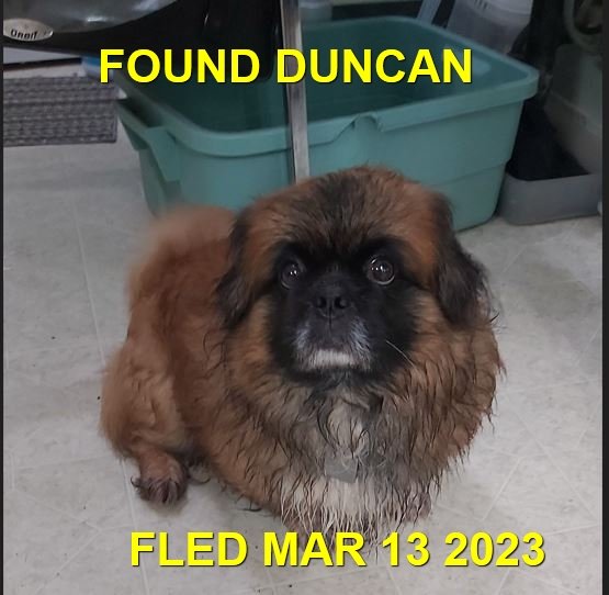 HAPPY ENDINGS - DUNCAN BC. / MAR. 13, 2023