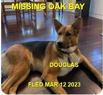 HAPPY ENDINGS - VICTORIA BC. / DOUGLAS / MAR. 11, 2023