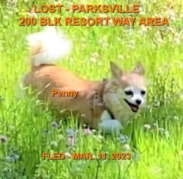 HAPPY ENDINGS - PARKSVILLE BC. / PENNY / MAR 11, 2023