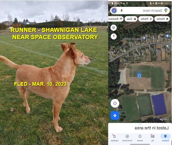 WENT HOME ON THEIR OWN - SHAWNIGAN LAKE BC. / MAR. 10, 2023