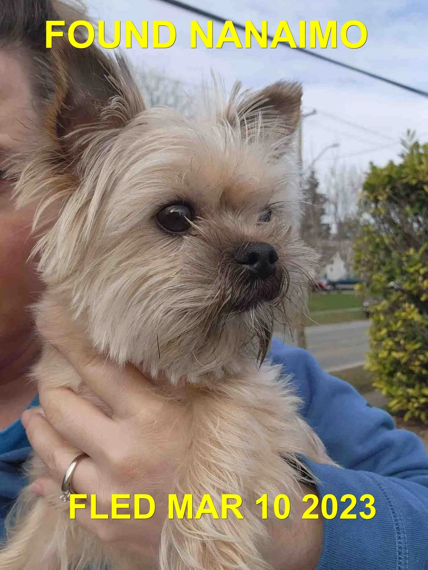 HAPPY ENDINGS - NANAIMO BC. / MAR. 10, 2023