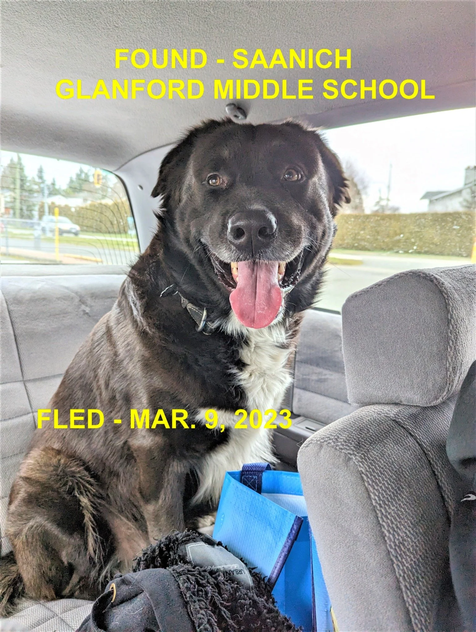 HAPPY ENDINGS - SAANICH BC. / MAR. 9, 2023