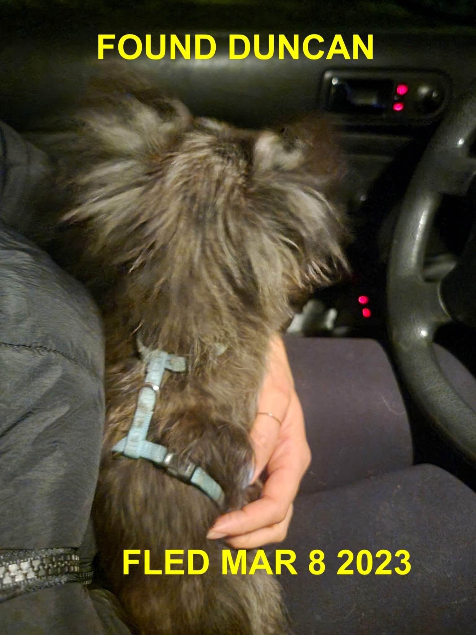 GONE TO SHELTER - HAPPY ENDINGS -DUNCAN BC. / MAR. 8, 2023