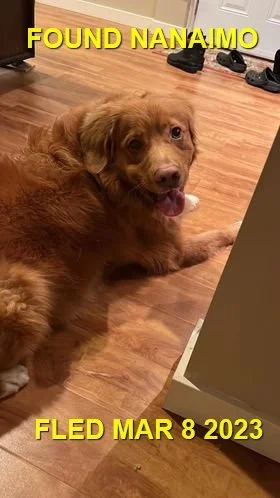 HAPPY ENDINGS - NANAIMO BC. / MAR. 8, 2023