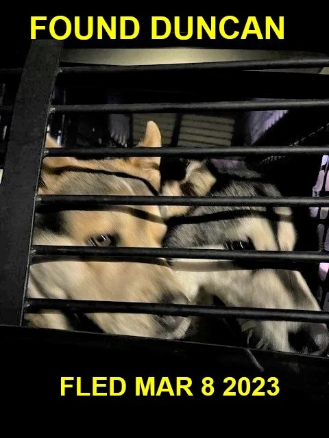 GONE TO SHELTER - HAPPY ENDINGS - DUNCAN BC. / MAR. 8, 2023