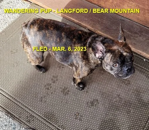 HAPPY ENDINGS - LANGFORD BC. / MAR. 6, 2023