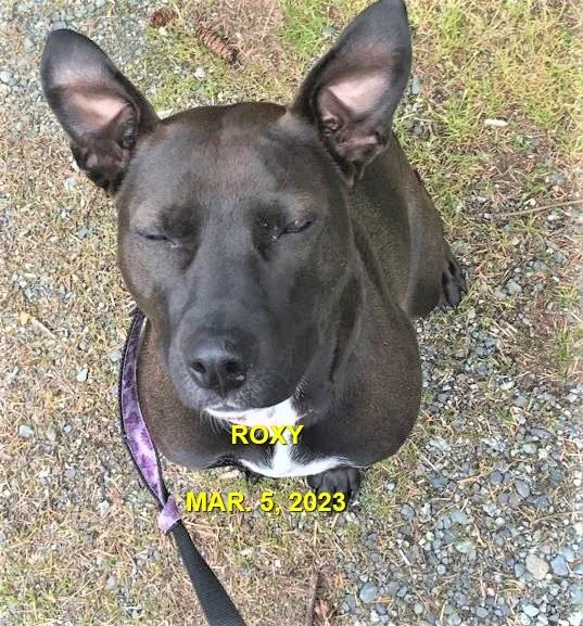 HAPPY ENDINGS - NANAIMO BC. / ROXY / MAR. 5, 2023