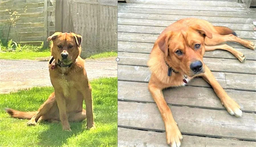 HAPPY ENDINGS - HORNBY ISLAND BC. / MAGIC / MAR. 4, 2023