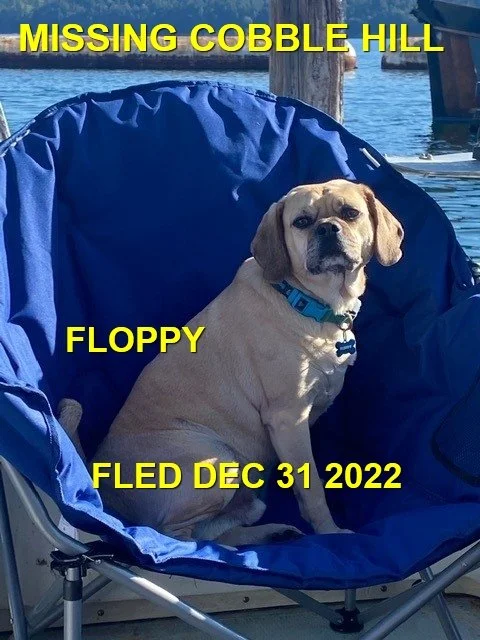 HAPPY ENDINGS -  COBBLE HILL BC. / FLOPPY / DEC. 31, 2022