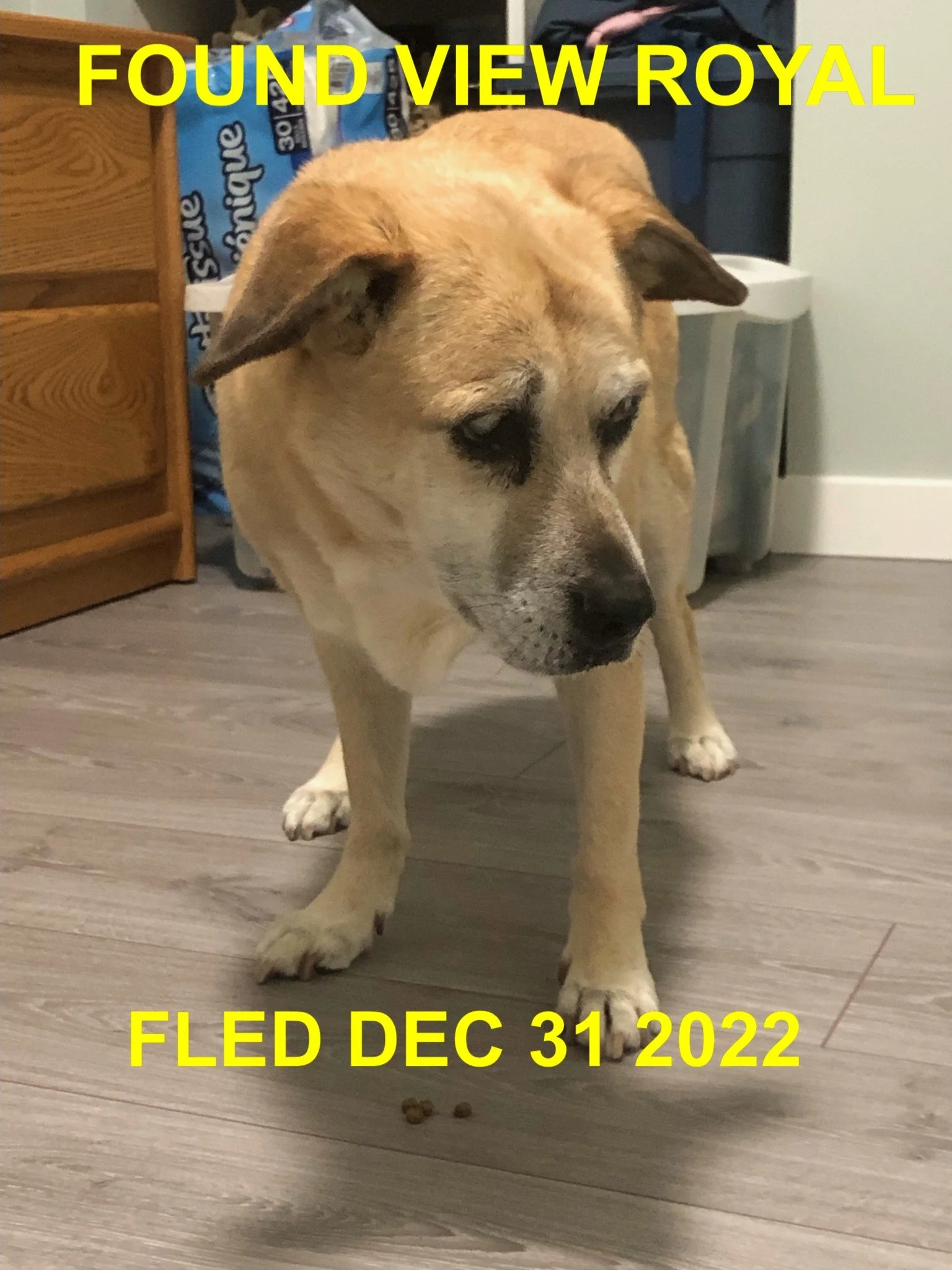 HAPPY ENDINGS - ESQUIMALT BC. / LORENZOS / DEC. 31, 2022