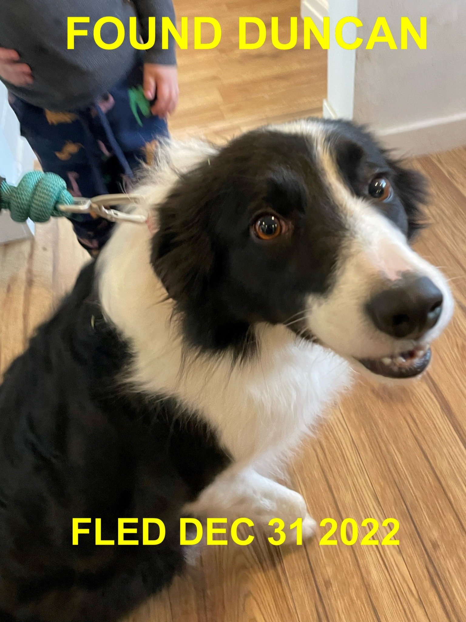 HAPPY ENDINGS - DUNCAN BC. / DEC. 31, 2022