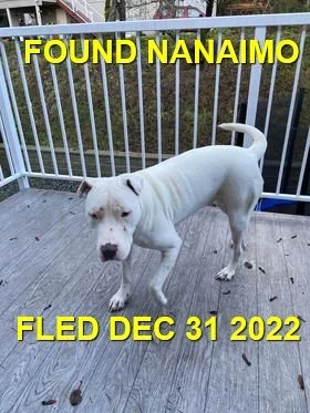 HAPPY ENDINGS - NANAIMO BC. / DEC. 31, 2022