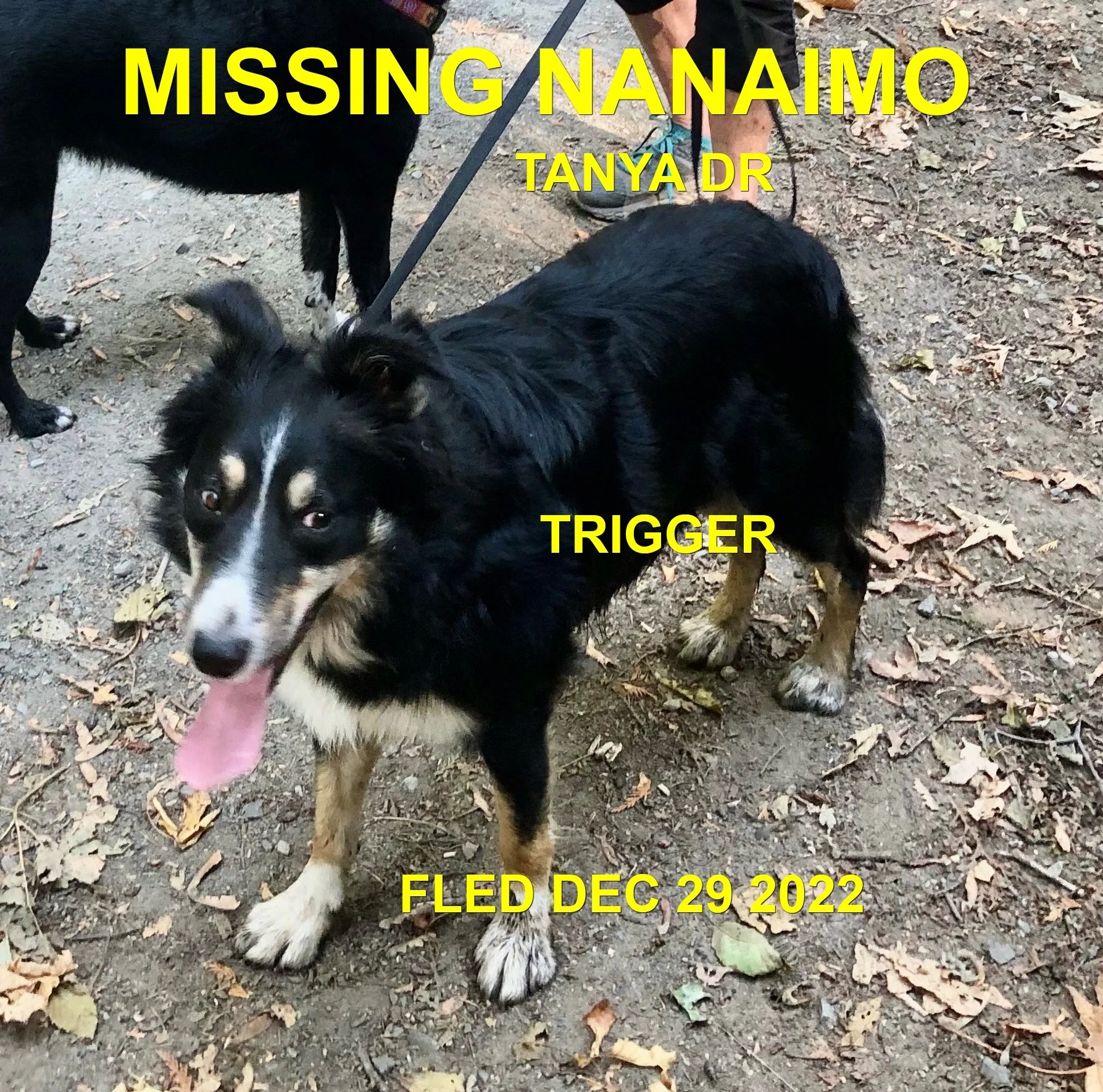 HAPPY ENDINGS - NANAIMO BC. / TRIGGER / DEC. 28, 2022