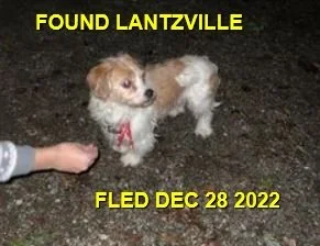 HAPPY ENDINGS - LANTZVILLE BC. / HUNTER / DEC. 28, 2022