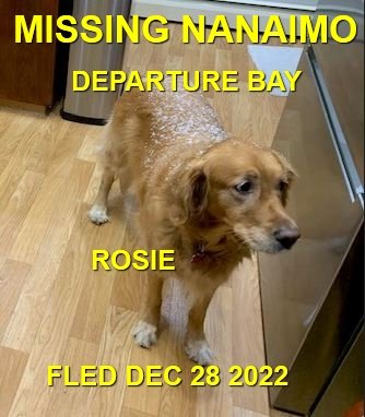 HAPPY ENDINGS - NANAIMO BC. / ROSIE / DEC. 28, 2022