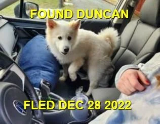 GONE TO SHELTER - HAPPY ENDINGS - DUNCAN BC. / DEC. 27, 2022