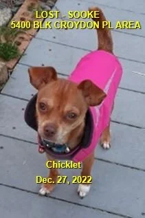 HAPPY ENDINGS - SOOKE BC. / CHICKLET / DEC. 27, 2022