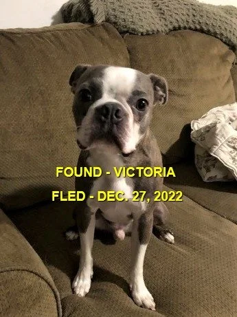 HAPPY ENDINGS - VICTORIA BC. / MORTIMER / DEC. 27, 2022