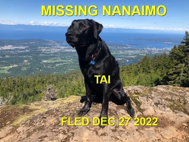 HAPPY ENDINGS - NANAIMO BC. / TAI / DEC. 26, 2022