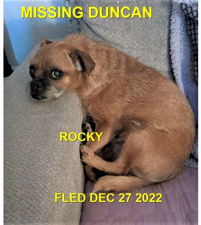 HAPPY ENDINGS - DUNCAN BC. / ROCKY / DEC. 26, 2022