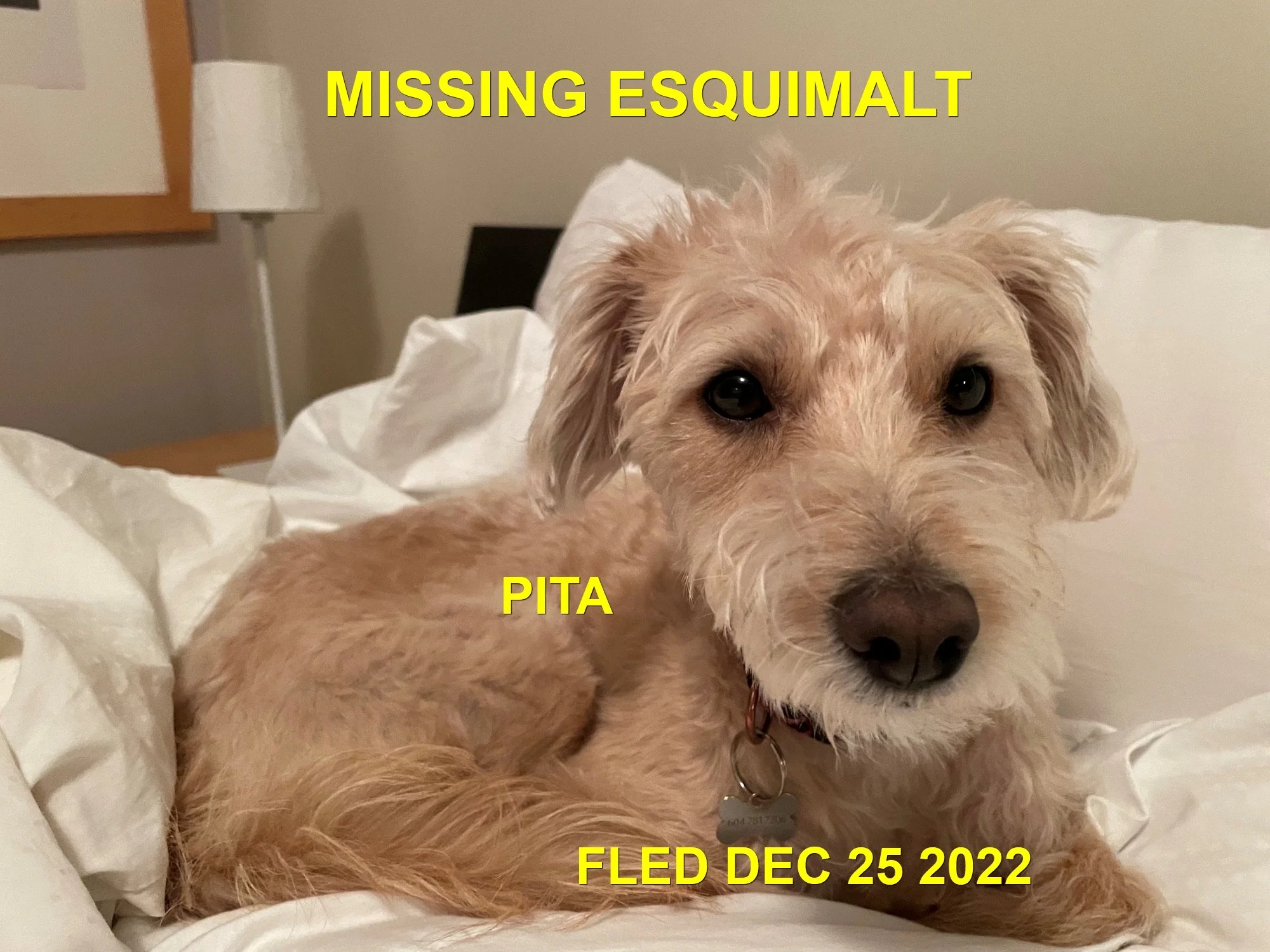 HAPPY ENDINGS - ESSQUIMALT BC. / PITA / DEC. 25, 2022