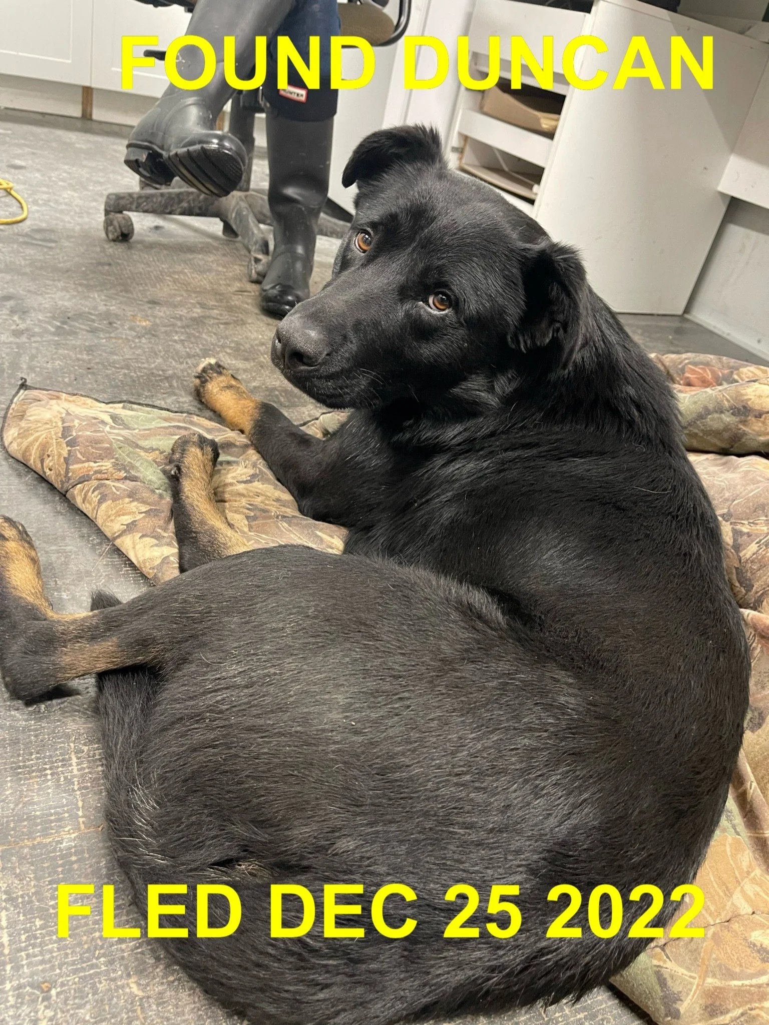 HAPPY ENDINGS - DUNCAN BC. / DEC. 24, 2022