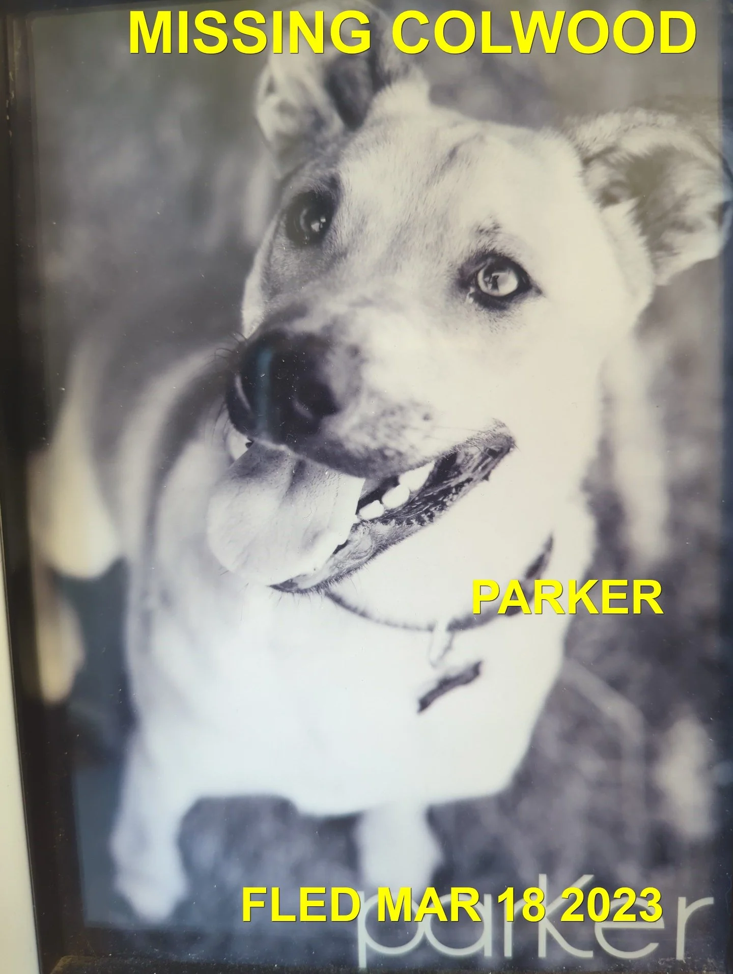 HAPPY ENDINGS - COLWOOD BC. / PARKER / MAR. 18, 2023