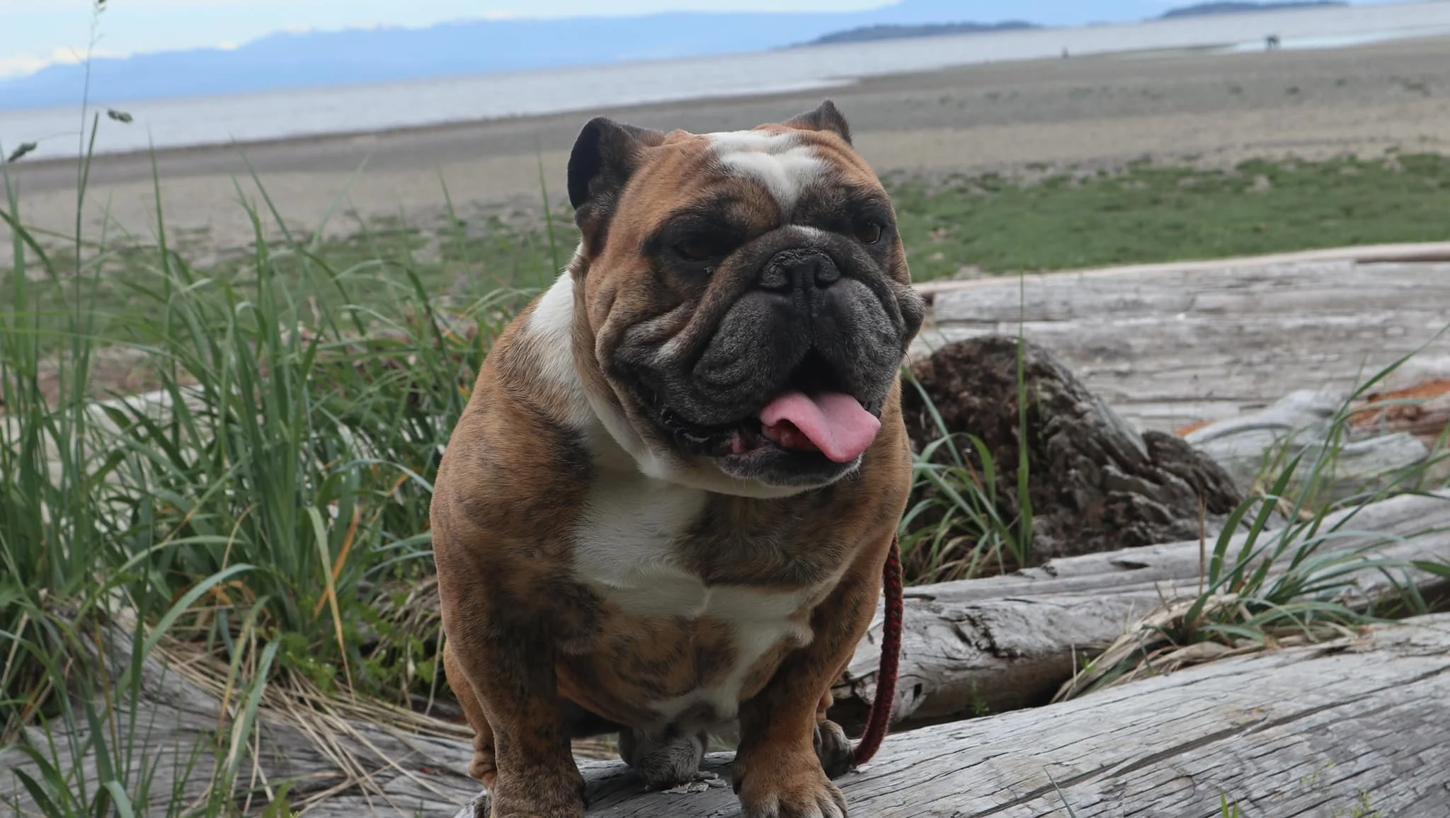 HAPPY ENDINGS - PARKSVILLE BC. / CRUISE / MAR. 16, 2023