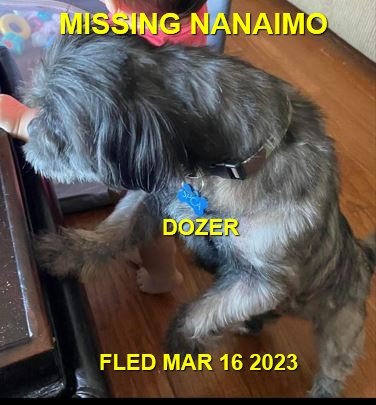 HAPPY ENDINGS - NANAIMO BC. / DOZER / MAR 16, 2023