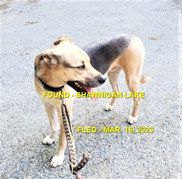 HAPPY ENDINGS - SHAWNIGAN LAKE BC. / MAR. 16, 2023