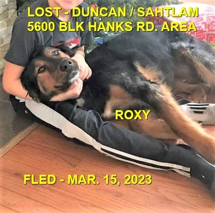 HAPPY ENDINGS - DUNCAN BC. / ROXY / MAR. 14, 2023