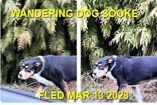UNRESOLVED - SOOKE BC. / MAR. 13, 2023