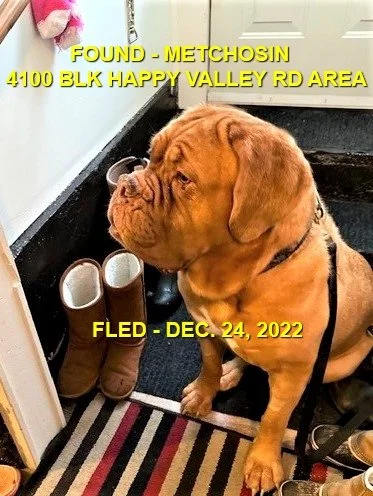 HAPPY ENDINGS - METCHOSIN BC. / DEC. 24, 2022