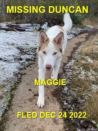 HAPPY ENDINGS - DUNCAN BC. / MAGGIE / DEC. 24, 2022