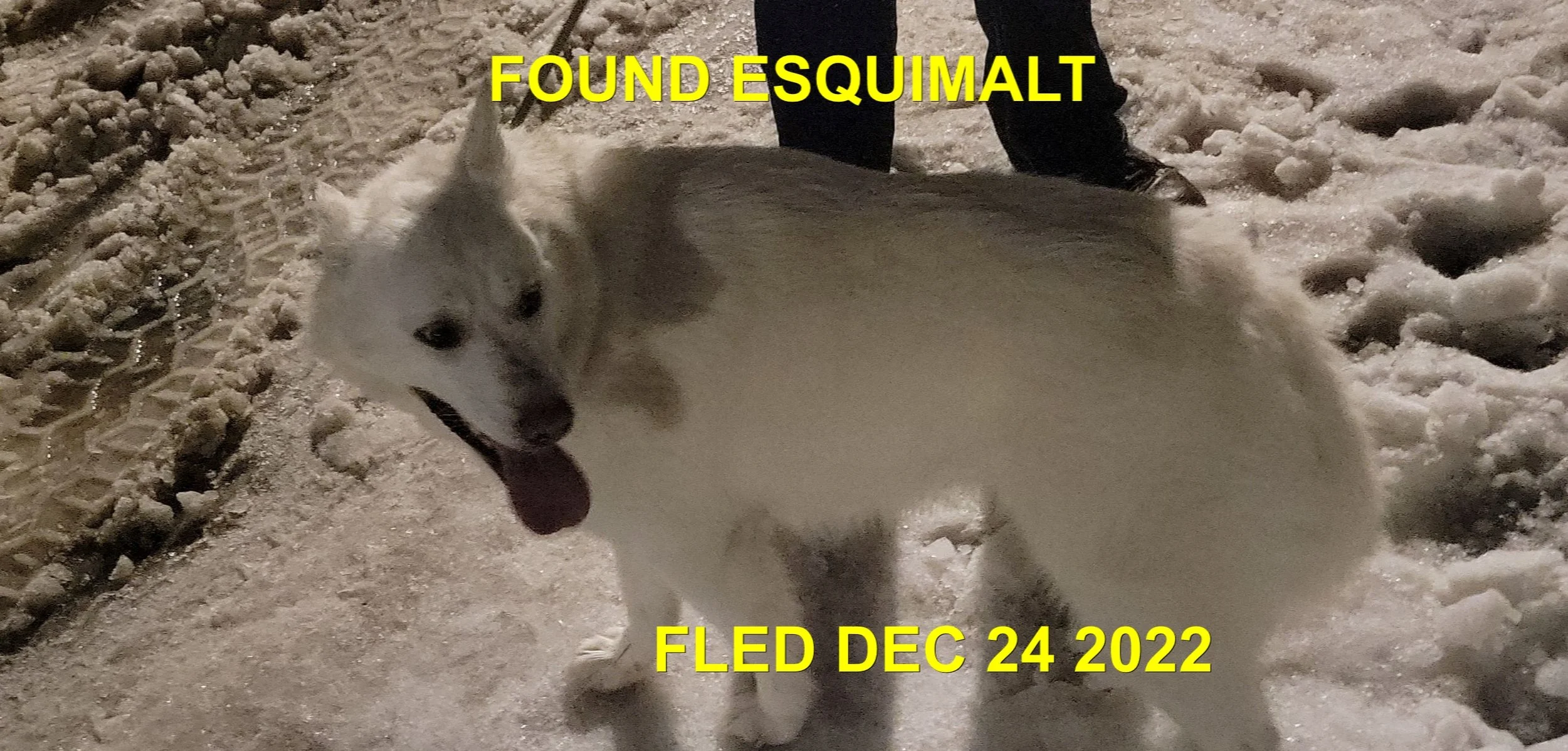 HAPPY ENDINGS - ESQUIMALT BC. / DEC 24, 2022