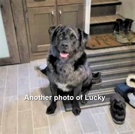 HAPPY ENDINGS - E. SOOKE BC. / LUCKY / MAR. 28, 2023