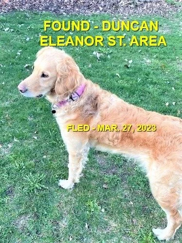 GONE TO COASTAL/HAPPY ENDINGS - DUNCAN BC. / SISSY / MAR. 27, 2023