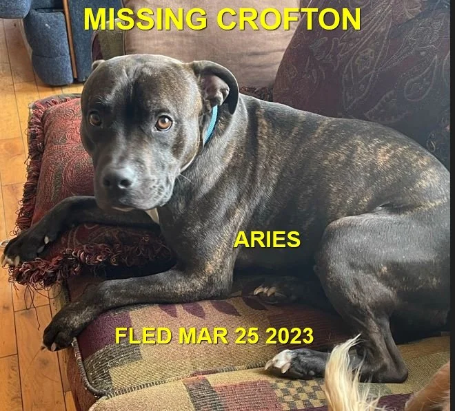 HAPPY ENDINGS - CROFTON BC. / ARIES / MAR. 26, 2023 (2ND TIME OUT )