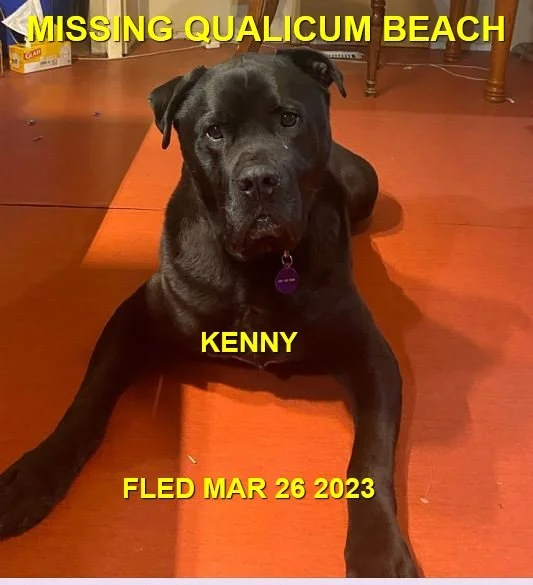 WENT HOME ON OWN / HAPPY ENDINGS - QUALICUM BEACH BC. / KENNY / MAR. 26, 2023
